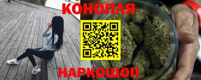 СК Сланцы