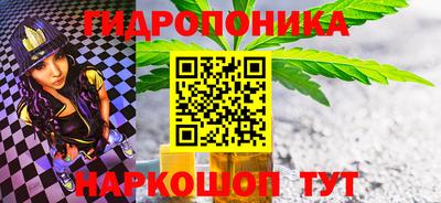 СК Сланцы