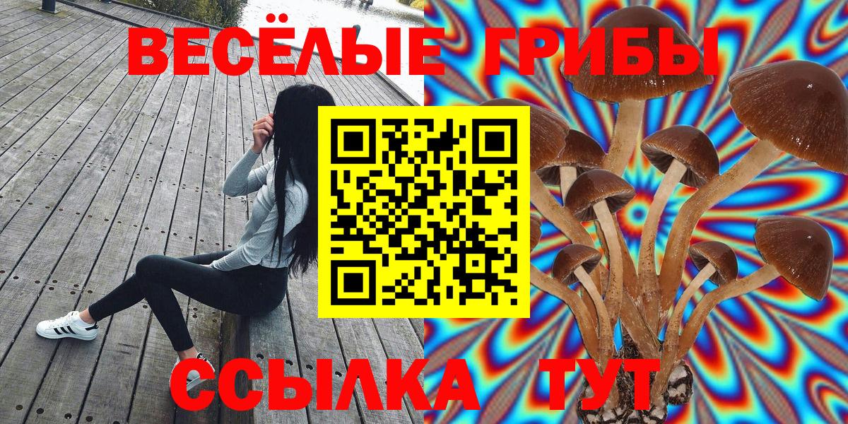 Галлюциногенные грибы мухоморы  Вход с VPN  Сегежа 